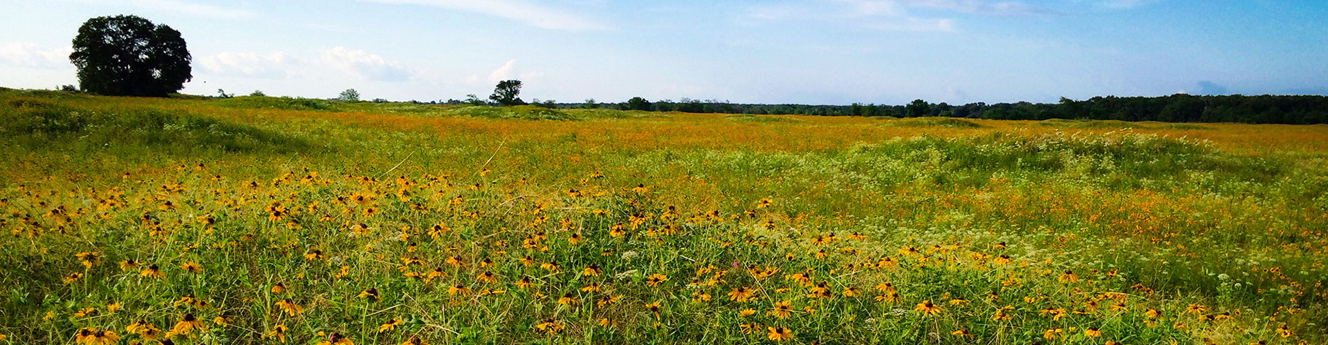 walk: Texas Master Naturalists, Blackland Prairie and Bois d’Arc chapters
